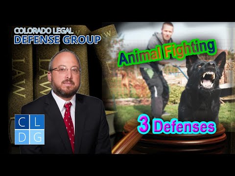 Arrested for animal fighting in Colorado? 3 defenses to the crime