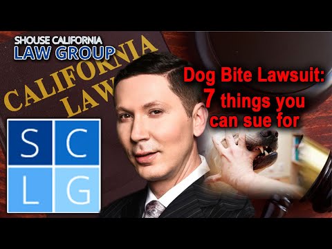 Dog bite victim? 7 things you can sue for