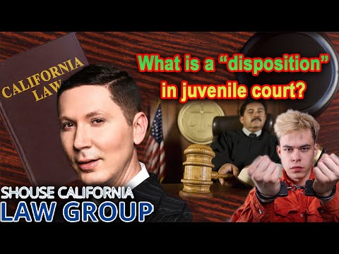 Juvenile guilty of crime: What can the judge do?