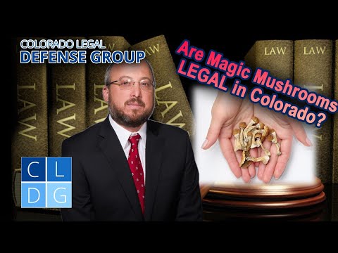 Are “Magic Mushrooms” LEGAL in Colorado?