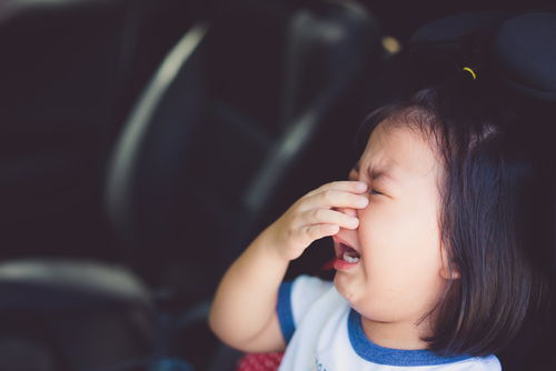 immigrant crying child in backseat of car being driven by drunk driver