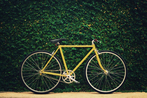 bicicleta junto a una pared de hiedra