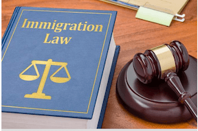 gavel lying next to book on immigration law