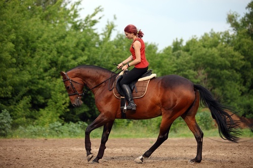 Woman riding a horse. 