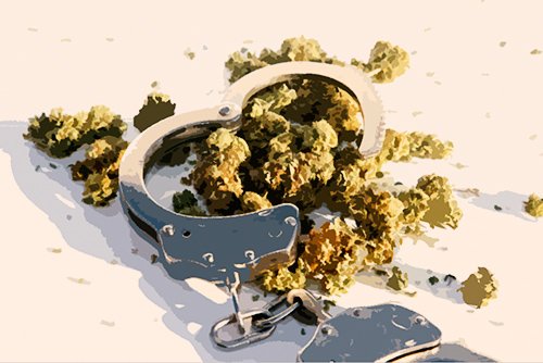 hand cuffs sitting on a mound of marijuana buds