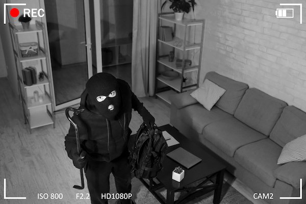 Burglar in mask caught on hidden camera