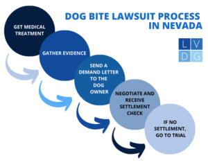 Diagrama de flujo del proceso de demanda por mordedura de perro